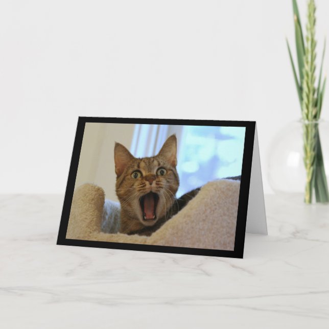 Carte Chant de chat Joyeux anniversaire (Devant)