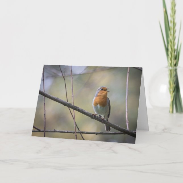 Carte Chanter Robin (Devant)