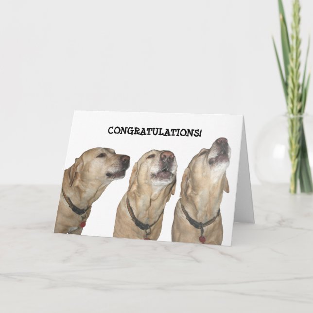 Carte Chanter tes compliments (Devant)