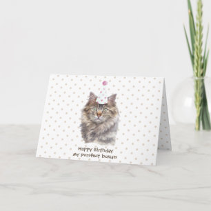 Carte Chapeau de fête de chat Maine coon célèbre anniver