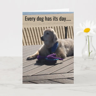 Carte Chaque Chien A Sa Journée, Tous Les Jours ! -