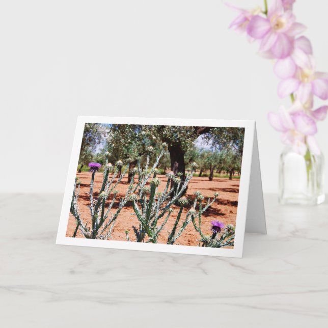 Carte Chardon à feuilles de coton, Onopordum (Orchidée)