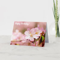 Charmin Sakura Fleurs Sur Rose, Rose, Rose
