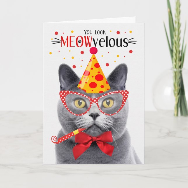 Carte Chartreux Grey Cat MEOWvelous Anniversaire (Devant)