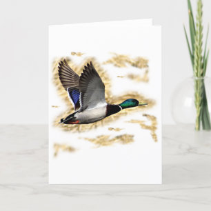 Carte Chasse de canard de Mallard