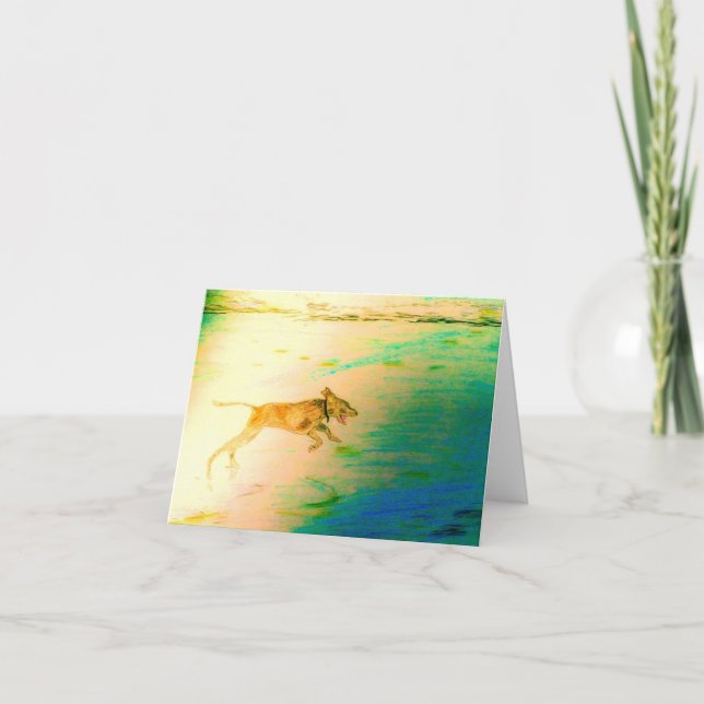 Carte Chassez vos rêves ! (Devant)