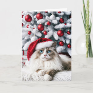 Carte Chat à poupée de Noël dans un chapeau de Père Noël