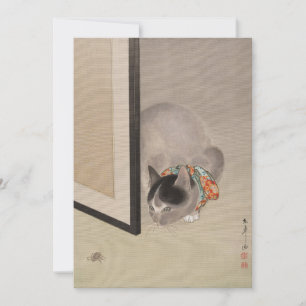 Carte Chat à regarder une araignée   Oide Tōkō