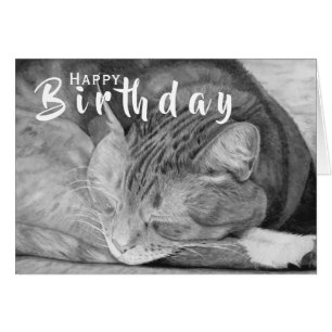 Carte Chat Anniversaire Carte de voeux pour amou