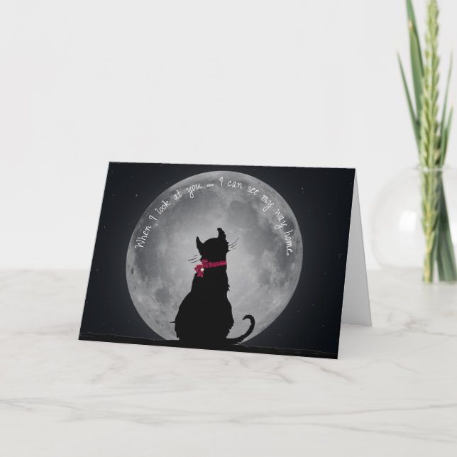 Carte Chat au clair de lune (Devant)