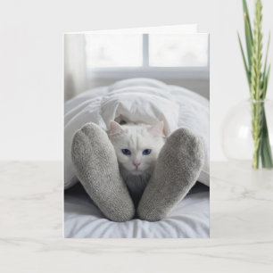 Carte Chat blanc d'anniversaire sous un édredon