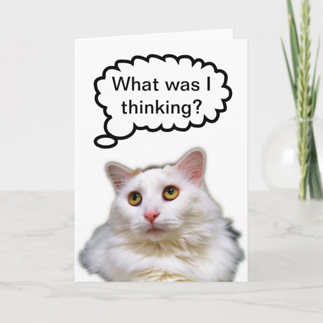 Carte Chat blanc Humour d'anniversaire tardif (Devant)