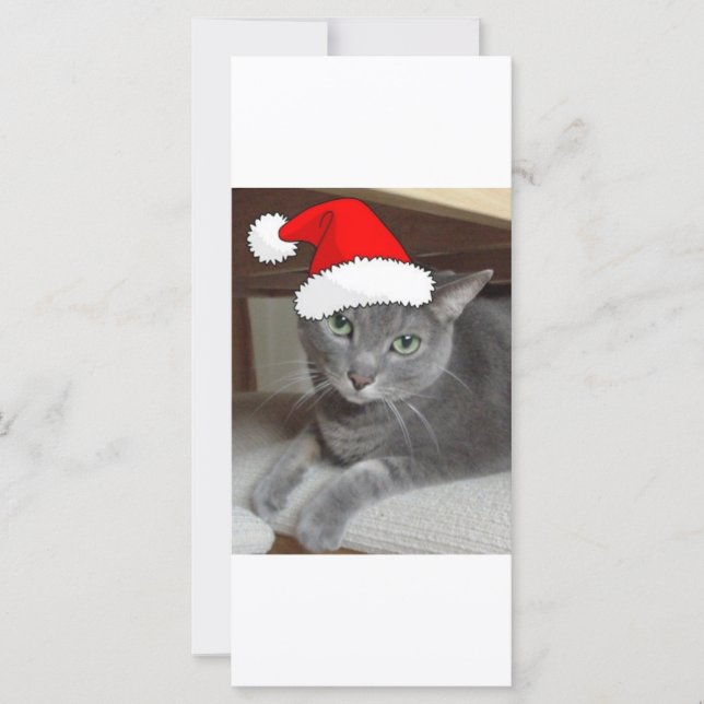 Carte Chat bleu russe de Noël (Devant)
