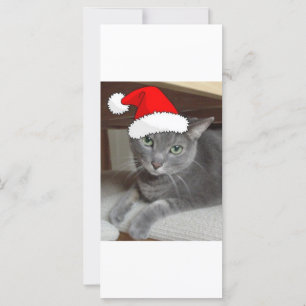 Carte Chat bleu russe de Noël