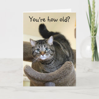 Carte Chat Chocs Voeux d'anniversaire