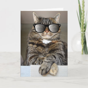 Carte CHAT cool JEUX ANNIVERSAIRE SOLEILS DE SOLEIL CART