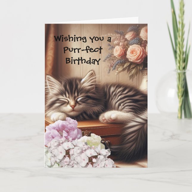Carte Chat couché Anniversaire (Devant)