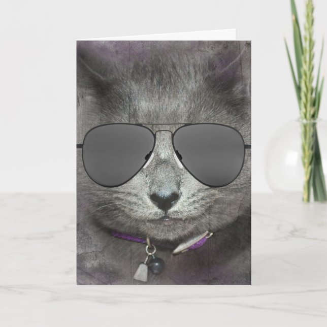 Carte Chat d'anniversaire avec lunettes de soleil Aviato (Devant)