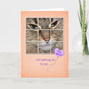 Carte Chat d'anniversaire dans la fenêtre