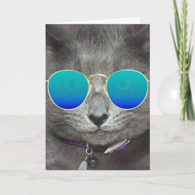 Carte Chat d'anniversaire gris avec lunettes de soleil (Devant)