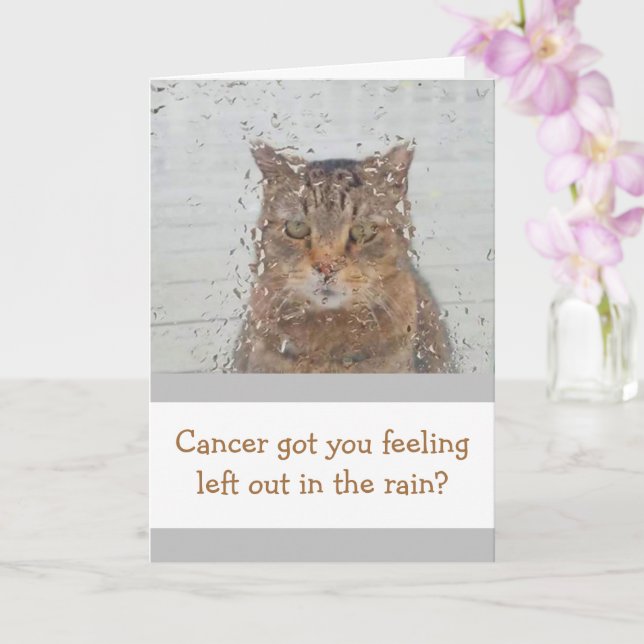 Carte Chat Dans La Pluie Cancer Support (Orchidée)