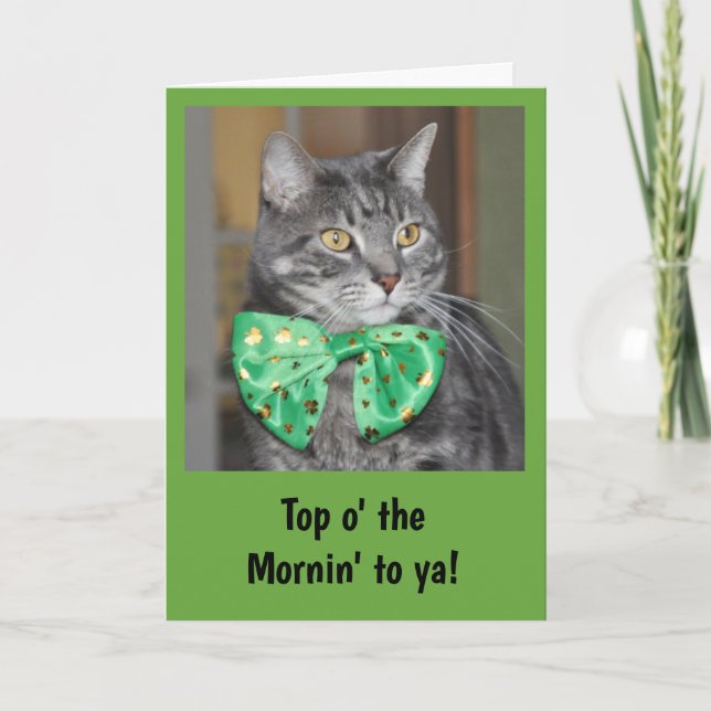 Carte Chat dans le bowtie pour le jour de St Patrick (Devant)