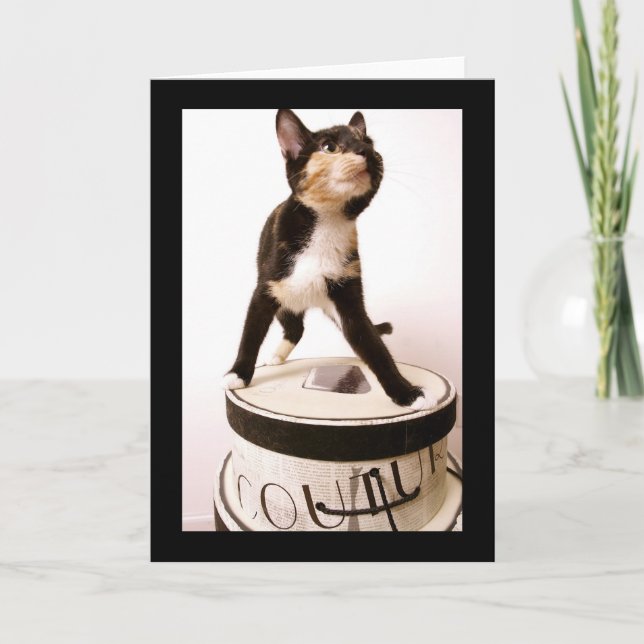 Carte Chat de couture (Devant)