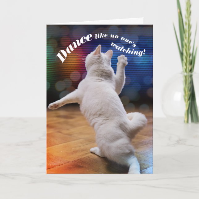 Carte Chat de danse amusant - Personne ne regarde l'anni (Devant)