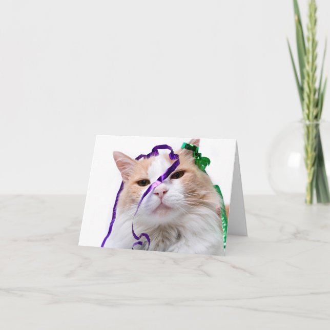 Carte Chat de fête drôle  (Devant)