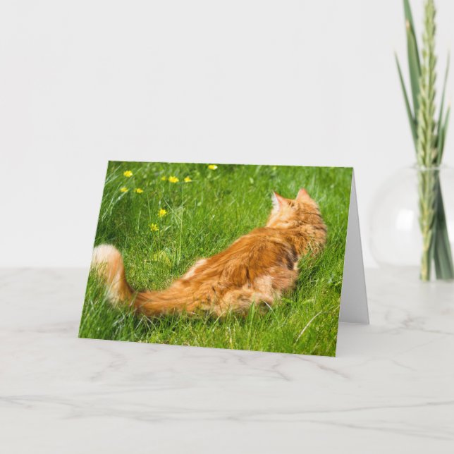 Carte Chat De Gingembre Au Printemps (Devant)