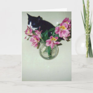 Carte Chat de joyeux anniversaire avec des fleurs dans