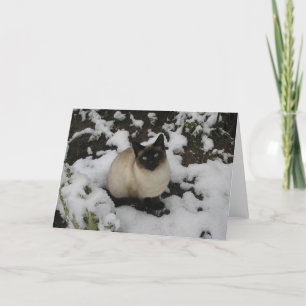 Carte Chat de neige