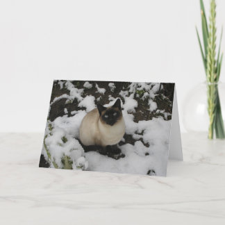 Carte Chat de neige
