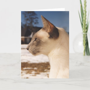 Carte Chat de neige - Profil de la pointe bleue de Siame