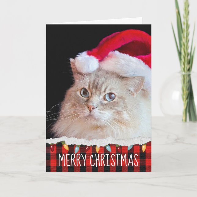 Carte Chat de poupée avec chapeau de Père Noël (Devant)