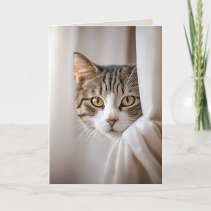 Carte Chat Derrière un Rideau Humour d'Anniversaire
