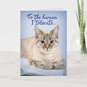 Carte Chat Drôle - À L'Homme Ils Tolèrent Anniversaire