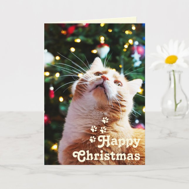 Carte Chat drôle et arbre vert & Joyeux Noël Unique  C (Petite plante)