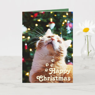 Carte Chat drôle et arbre vert&Noël unique