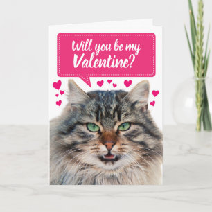 Carte Chat Drôle Serez-Vous Mon Valentin ?