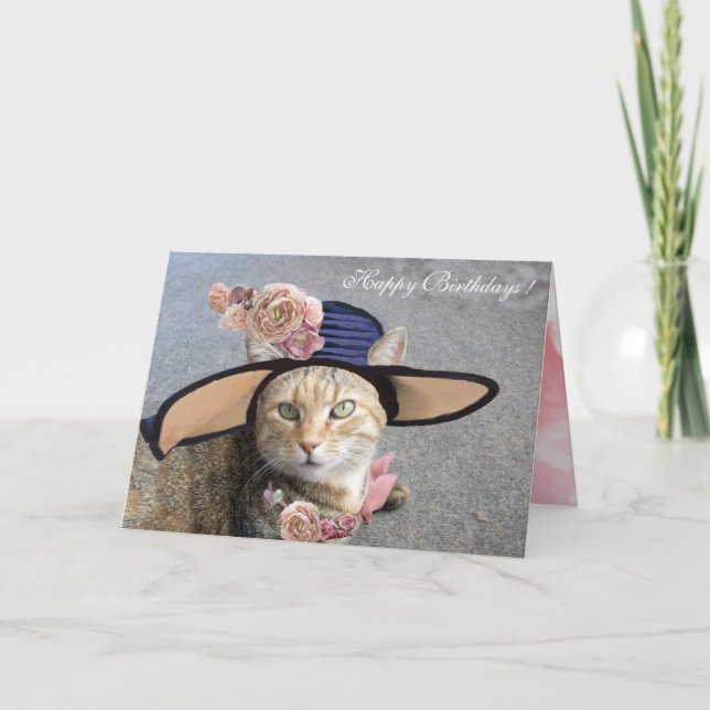 CARTE CHAT ÉLÉGANT AVEC CASQUETTE DIVA, ROSES ROSES ROSE (Devant)