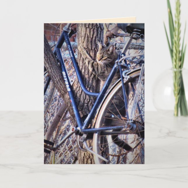 Carte Chat en Arbre avec Bicyclette Cute Chats Amusants (Devant)
