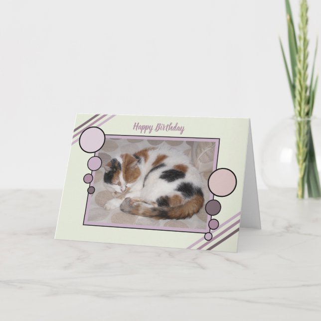 Carte Chat enroulé dans le sommeil photo vert violet ann (Devant)