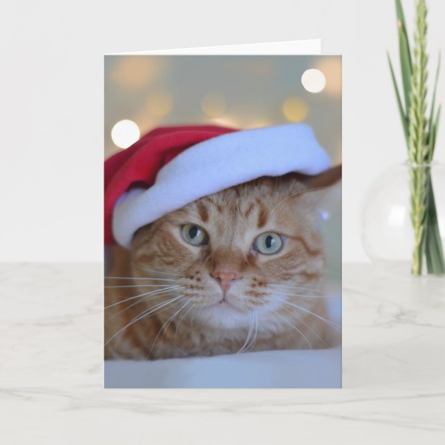 Carte Chat et lumières de Noël (Devant)