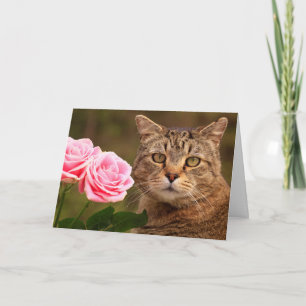 Carte Chat Et Roses Se Font Bien