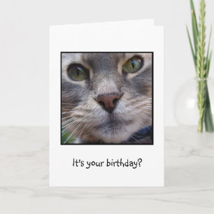 Carte Chat étonné, c'est votre anniversaire ?