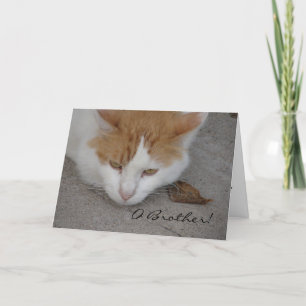 Carte Chat, Frère O, Anniversaire Belge
