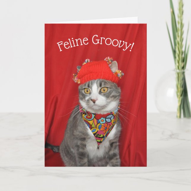 Carte Chat gris et blanc Hippie Valentine's ou Anniversa (Devant)
