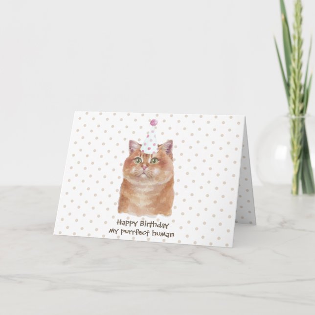 Carte Chat Hosico avec chapeau de fête (Devant)