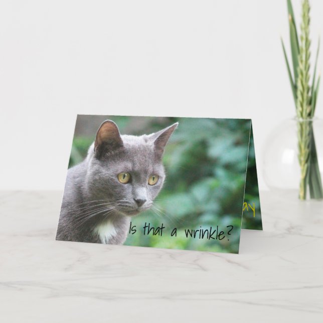 Carte Chat Kitty Funny (Devant)